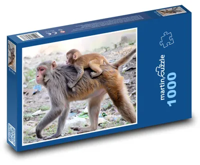 Obrázek produktu pro Puzzle 1000 Opice s mládětem v přírodě - martinpuzzle