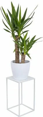 Obrázek produktu pro Howhomely Plant Stool Metal 40 cm - kvìtinová stolièka kovová bílá - kvìtinový stojan
