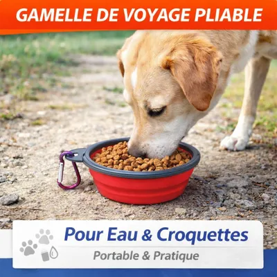 Image de Gamelle de Voyage Pliable 350 ml
