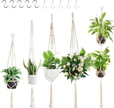 Image de Lot de 5 supports décoratifs pour fleurs, fil de soie, cache-pots, tuteurs pour fleurs, décoration d'intérieur, avec 10 crochets, pour l'intérieur et l'extérieur, pièces, terrasses, décoration d'intérieur