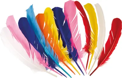 Image de Boland plumes d'indien, 12pcs