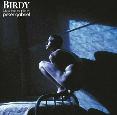 Obrázek produktu pro Peter Gabriel - Birdy (LP)