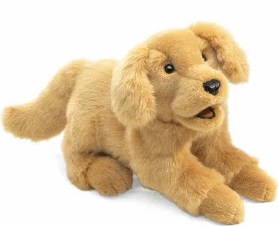 Produktbild von Folkmanis Golden Retriever Puppy, Handpuppe, Tier, 3 Jahr(e), 1 Stück(e)