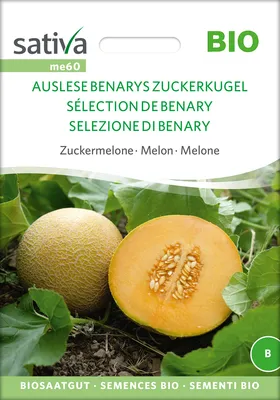 Produktbild von Zuckermelone Auslese |  Zuckermelonensamen von Sativa Rheinau