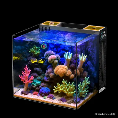 Produktbild von AQUANO - Nano Aquarium 40x40x40cm - Einzeln, KI-generiertes Bild
