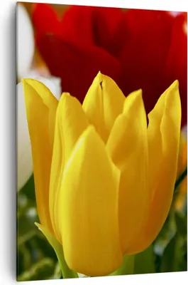 Produktbild von Bild auf Leinwand - Leinwandbild - Einteilig - Tulpen Vase Blumenstrauß - 70x100cm - Wand Bild - Wanddeko - Wandbilder - Leinwanddruck - Wanddekoration - Leinwand bilder - Wandbild - PA70x100-1366