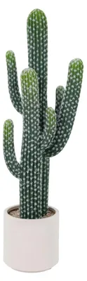 Produktbild von Künstlicher Kaktus - Topfpflanze - 83 cm hoch - Mit Topf - Bodenstehend für Innenbereich - PE-Material - Grün