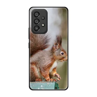Produktbild von König Design Hülle kompatibel mit Samsung Galaxy A53 5G Kunststoff Soft Handyhülle - Handy Case Eichhörnchen