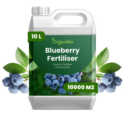 Obrázok produktu pre Tekuté hnojivo Čučoriedka, 10 litrov, vzorec NPK 2-1-8 – Pre ovocné kríky – Pre zdravé kríky a bohatú úrodu – Podporuje rast koreňov a vitalitu – Organický produkt