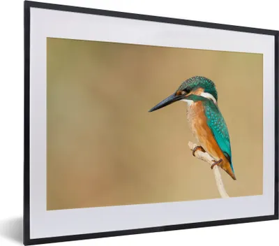 Produktbild von MuchoWow® Gerahmtes Poster Eisvogel - Tiere - Vogel 40x30 cm - Poster mit Schwarzem Bilderrahmen Wandposter Rahmen Foto Bilder - Bilderrahmen - Poster im Rahmen
