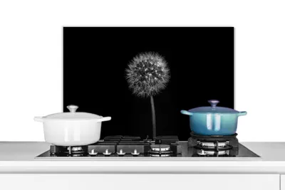 Produktbild von KitchenYeah® Spritzschutz Küche - Küchenrückwand - Wandschutz für Herd und Spüle - Löwenzahn - Schwarz - Floral - Botanisch 60x40 - Alu-Dibond (Alternative zum Spritzschutz aus Glas) - Hitzebeständig