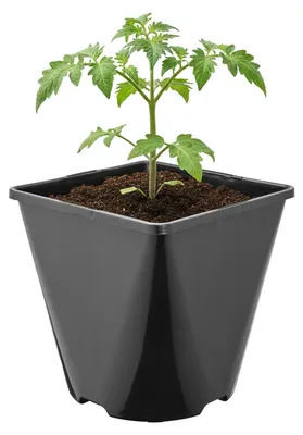 Image de Garronda, lot de 5 pots en plastique de forme carrée aux angles arrondis, avec trous de drainage, pour le jardin (noir, 14 x 14 x 14 cm (2 L)) GD-KW-SR