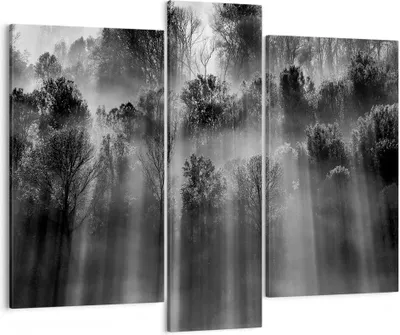 Produktbild von Bild auf Leinwand - Leinwandbild - 3 Teile - Bäume drinnen Nebel - 95x80cm - Wand Bild - Wanddeko - Wandbilder - Leinwanddruck - Bilder - Wanddekoration - Leinwand bilder - Wandbild - CB95x80-4889