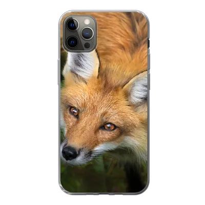 Produktbild von MuchoWow® Handyhülle Schutzhülle Hülle für iPhone 12 Pro Max Fuchs - Grün - Orange Silikon Softcase Handy Hülle - Hartschale