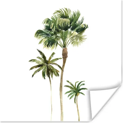Produktbild von MuchoWow® Poster Dschungel - Baum - Grün 100x100 cm - Babyzimmer