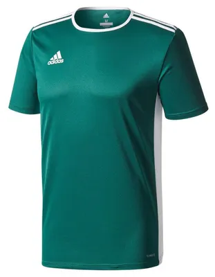 Obrázok produktu pre Adidas - Detské tričko „Entrada 18“ MR790 (116) (zelené)