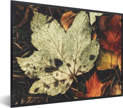 Produktbild von MuchoWow® Gerahmtes Poster Herbstblätter - Herbst - Jahreszeiten - Natur 80x60 cm - Poster mit Schwarzem Bilderrahmen Wandposter Rahmen Foto Bilder - Schwarzem - Mit Gestell
