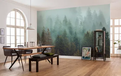 Produktbild von Digitaldruck Vlies Fototapete - Foggy Firs - Größe 400 x 250 cm