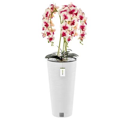 Produktbild von Blumenkübel freistehend Blumentopf  Ø 30 cm H 57,5 cm Weiß  Übertopf  Meißelblumentopf Pflanzkübel aus Kunststoff mit Einsatz
