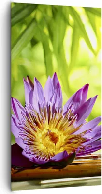Produktbild von Bild auf Leinwand - Leinwandbild - Asien spa bambus blume - 65x120cm - Wand Bild - Wanddeko - Leinwanddruck - Bilder - Kunstdruck - Wanddekoration - Leinwand bilder - Wandkunst - PA65x120-2476
