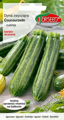 Produktbild von Samen des Gewöhnlichen Kürbisses - Torsaat