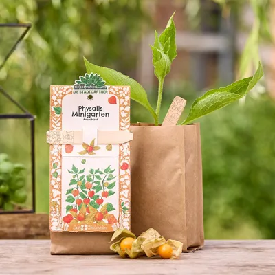 Obrázok produktu pre Sada na pestovanie Minigarten - Physalis - Kompletná sada s pôdou, tycinkami na