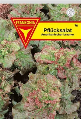 Produktbild von Pflücksalat Amerikanischer brauner