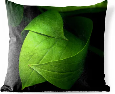 Produktbild von MuchoWow® Outdoor Kissen - Die Details eines grünen Blattes vor schwarzem Hintergrund - 45x45 cm - Wetterfest - Lounge Kissen - Fotokissen - Dekoratives Kissen