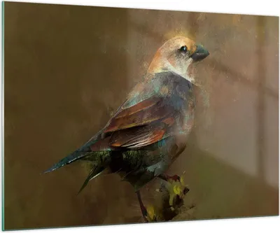 Produktbild von Bilder auf glas - Vogel Natur - 100x70cm - Glasbilder - Wandbilder - Bilder - Kunstdruck - zum Aufhängen bereit - Wanddekoration aus Glas - Glas Bilder - Wandbild auf Glas - Einteilig - GAA100x70-3924