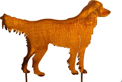 Obrázek produktu pro Labradorská zahradní zátka