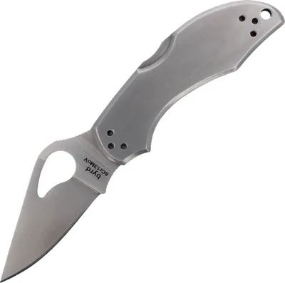Obrázok produktu pre Spyderco Byrd Robin 2 Stainless Plain (BY10P2)
