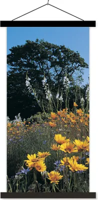 Produktbild von MuchoWow® Textilposter Blumen - Natur - Farbe 90x180 cm mit schwarzem Rahmen - Dekoration Wohnzimmer