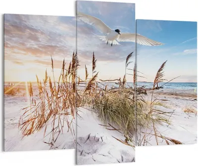 Produktbild von Bild auf Leinwand - Leinwandbild - 3 Teile - Möwe Meer Küste - 130x100cm - Wand Bild - Wanddeko - Wandbilder - Leinwanddruck - Bilder - Wanddekoration - Leinwand bilder - Wandbild - CB130x100-4902