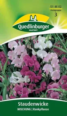 Produktbild von Quedlinburger Saatgut - Stauden-Wicken Mischung - Samen - 514802