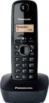 Obrázok produktu pre Panasonic KX-TG1611FRF, DECT telefón, 50 položky, ID volajúceho, Purpurová, Biela