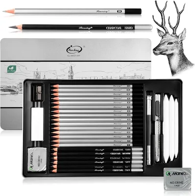 Productafbeelding van Kunstenaarspotloden Set 30-delig, 15 Tekenpotloden, 6 Houtskoolpotloden, 8 Accessoires, Zilveren Etui