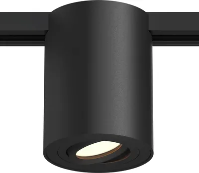 Produktbild von Ledvion - Schienen Aufbauspot, 1-Phasen, ohne GU10 Leuchtmittel, Schwarz, 1-flammig Spot, spotlight, deckenspot, schienensystem lampen, strahler lampe