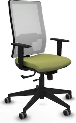 Image de Bürostuhl Piqueras y Crespo 1D066G0 grün