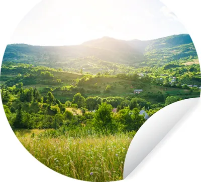 Produktbild von MuchoWow® Runde Wandtattoo - Wandsticker Tapete Aufkleber Wald - Landschaft - Sonne - Natur - Sonnenaufgang Ø 80 cm Selbstklebend und Repositionierbar - Wandaufkleber - Kreis - Mauerkreis - Wand Bilder - Wandsticker - Wohnzimmer Dekoration - Dekoration für die Wände - Aluminium - Babyzimmer