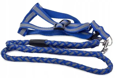 Image de Verk 19116 Harnais en nylon avec laisse pour chien 120 x 1,2 cm bleu
