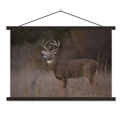 Produktbild von MuchoWow® Textilposter Herbst - Hirsche - Gras - Natur - Tiere 60x40 cm mit schwarzem Rahmen - Hölzernes