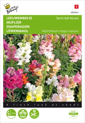 Produktbild von Löwenmaul Halbhohe Mischung | Löwenmaulsamen von Buzzy Seeds