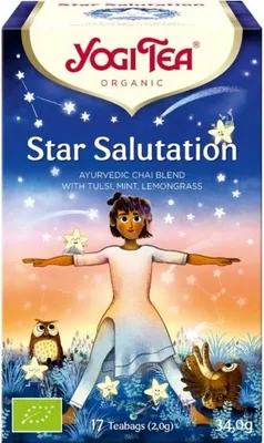 Obrázek produktu pro Yogi Tea®Ajurvédský čaj Star Salutation (17ks), 103402