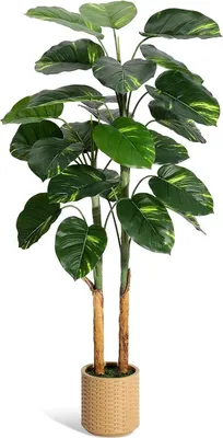 Produktbild von Kunstpflanze Efeutute (Pothos) - Bodenpflanze mit Topf - 150 cm hoch - Mit Stämmen - PE-Blätter - Für Zuhause & Büro - Tiefrosa