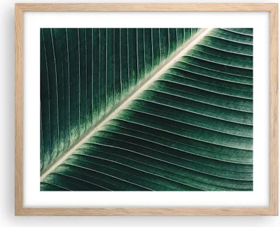 Produktbild von Gerahmtes Poster - Rahmen in heller Eiche - Grün Blatt Tropisch - 50x40 cm - Wand Bild - Wanddeko - Wandbilder - Wandposter - Bilderrahmen - Bilder - Kunstdruck - Wandbild - P2NAA50x40-4126