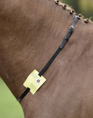 Produktbild von Halsriemen Reitkennzeichen Pony