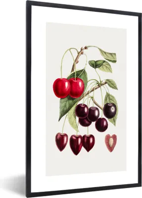 Produktbild von MuchoWow® Gerahmtes Poster Lebensmittel - Kirschen - Obst 40x60 cm - Poster mit Schwarzem Bilderrahmen Wandposter Rahmen Foto Bilder - Papierdruck - Wandbilder