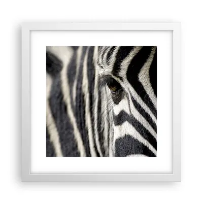 Produktbild von Gerahmtes Poster - Weißer Rahmen - Zebra Streifen Tierwelt Safari - 30x30 cm - Wand Bild - Wanddeko - Wandbilder - Wandposter - Bilderrahmen - Bilder - Kunstdruck - Wandbild - P2WAC30x30-2195