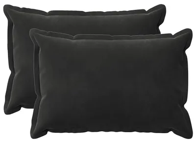 Productafbeelding van vidaXL Kussens met kussenhoes, 2 stuks, zwart, fluweel