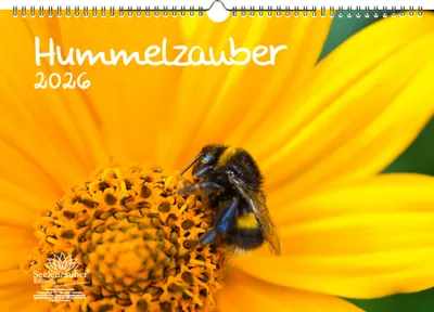 Produktbild von Hummelzauber DIN A3 Kalender für 2026 Hummeln - Seelenzauber